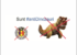 sunt_anti_dinozauri